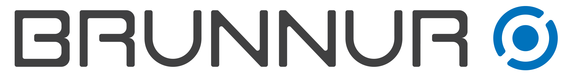 Brunnur Venture logo
